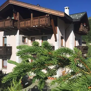 Stella Alpina Apartmán